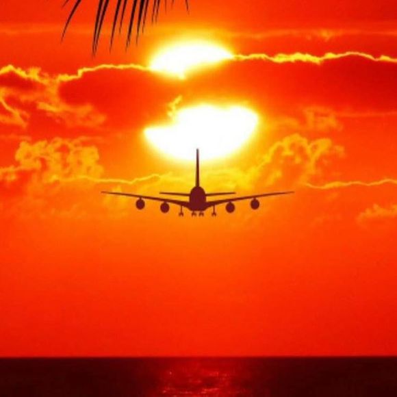 Meet your Posher, Okan - Picture 1 of 1